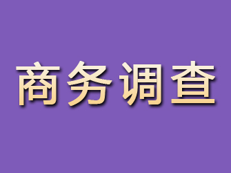 宾阳商务调查